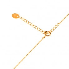 Collana in oro giallo 14K - catena raffinata, zirconi brillanti a forma di grano