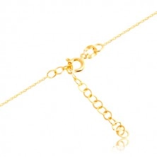 Collana in oro giallo 585 - gufo dimbolo della saggezza, catena sottile brillante