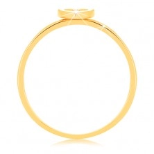 Anello in oro giallo 9K - cuoricino con bordo bianco e con zircone chiaro minuscolo