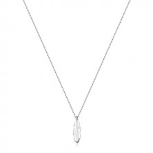 Collana in argento 925 - piuma brillante con diamante chiaro, rotondo, catena brillante